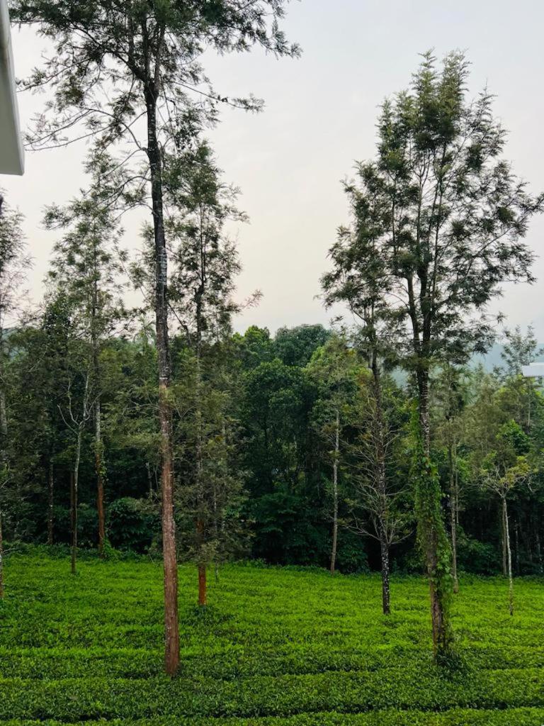 Pabis Luxurious Stay Vythiri Esterno foto